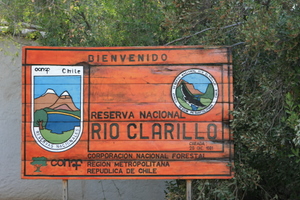 Chili Rio Clarillo